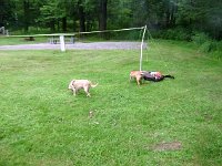 photos 2000-200901726
